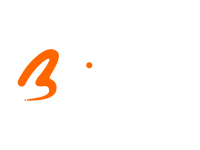 Bizycon private limited