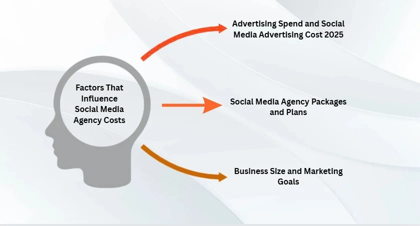 social media agency